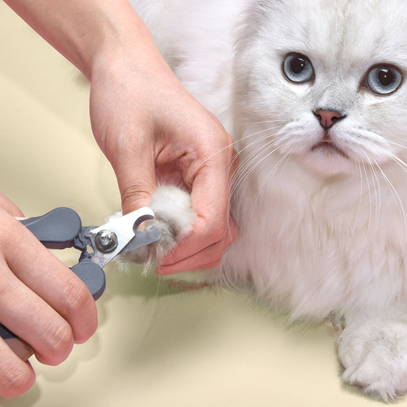 Pet nail Clipper by HOOPET