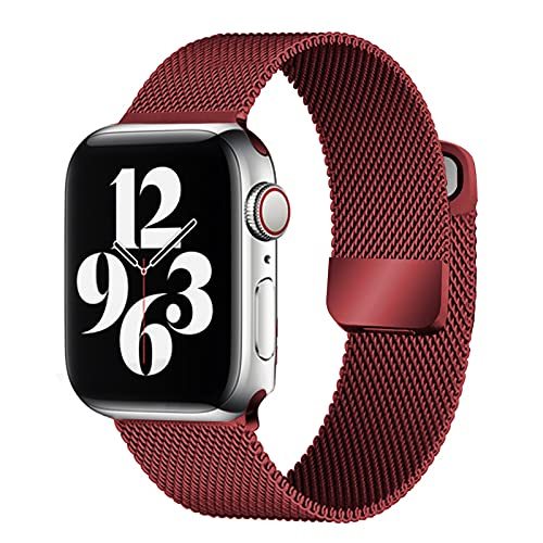 Magnetic Double Section Strap for apple watch