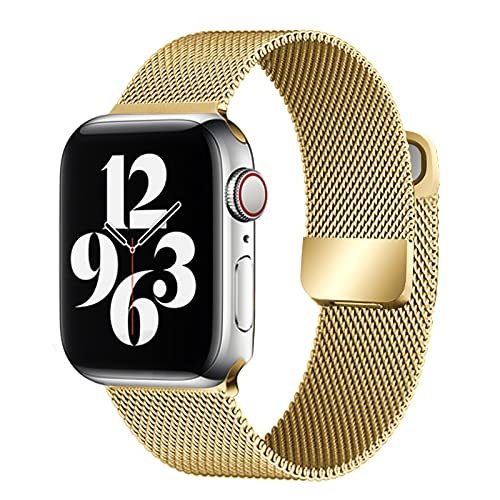 Magnetic Double Section Strap for apple watch