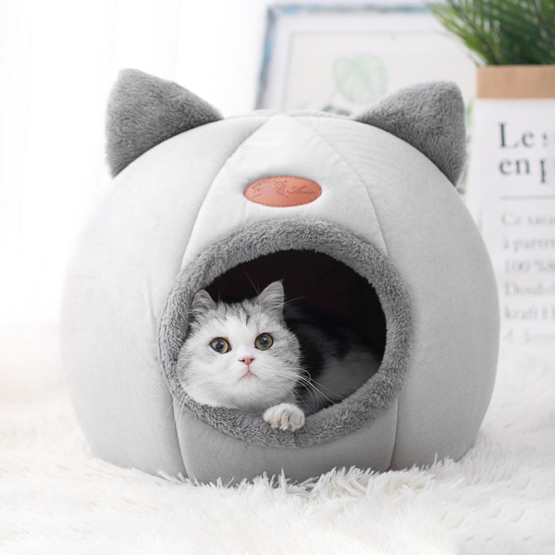 Cat Nest