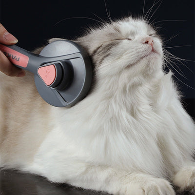 PAKEWAY Self Cleaning Grooming Pet Brush
